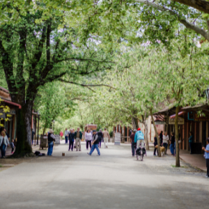 main street with people walking around 